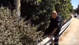 عمال-فلسطينيون-اسرائيل