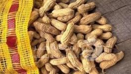 الحماية من الحساسية