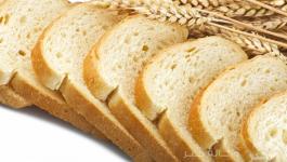 13f320e7b5ead1024ac95c3b208610db