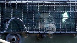 أسيرات فلسطينيات 