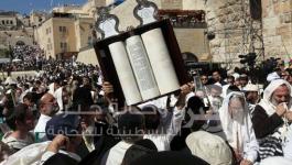 منظمات الهكيل