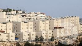 مشروع استيطاني