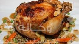 دجاج