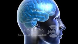 دماغ الانسان