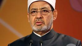 14246cff98c2c4e78ddd806df89e9c5d