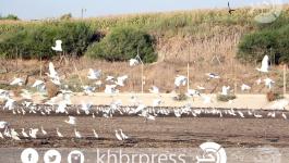 الحدود-الشمالية-قطاع-غزة ‫(226084374)‬ ‫‬