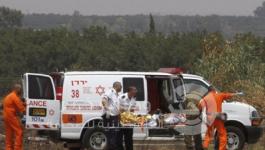 1ead08a893443e172d543c5471fa0417