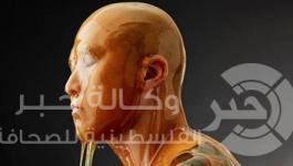 الموديلز