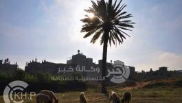 صباح خبر - النفق ‫(160200281)‬ ‫‬