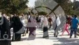 سلاسل بشرية بالاقصى