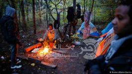 مهاجرين سرين 