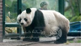 46430297-5099-48ab-b286-c8218ad549ac