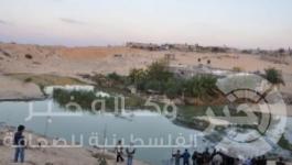 بركة-زراعية