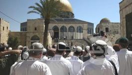 المسج الاقصي