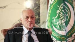 نبيل العربي 