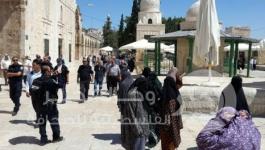 اعتقال نساء