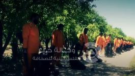 cefc83fa84ec8123543e0e4b532e37ef