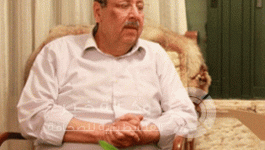shabib sameeh