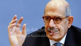 محمد البرادعي 