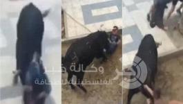 2A47B8BD00000578-0-image-a-2_1436201696716