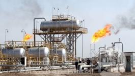 براميل النفط