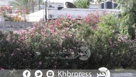 شارع الجلاء (10)