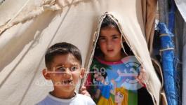 اللاجئين الفلسطينين