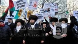 يهود الحاسيديم يرفعون علم فلسطين في نيويورك