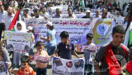 موظفي الوكاله