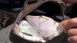 large-2460625925930167776