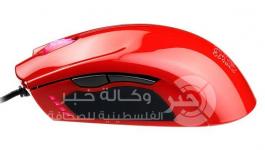 ماوس