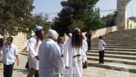 مستوطنون يقتحمون الاقصي