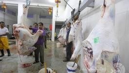 11931614_974300495947073_460903076_n