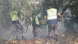 أشجار تحترق 