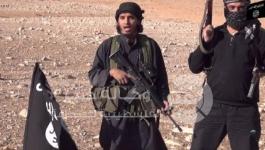 محمد بكر- سوريا