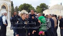 اعتقال سيدة