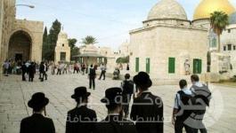 04fd2fd979ba234aed29af12394bb52c