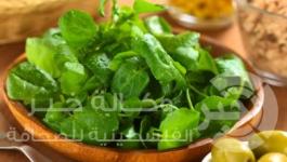 shutterstock_109187579