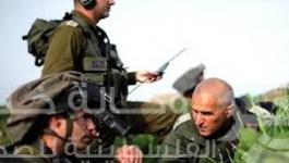  سامي ترجمان