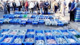زيادة نسبة تلوث بحر غزة تهدد الثروة السمكية في غزة.jpg