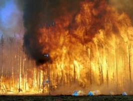 حريق يلتهم أحراشاً زراعية شرق جنين