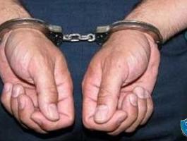 palpolice_00066210367304225268018603028886