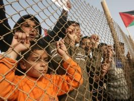 تقرير حقوقي