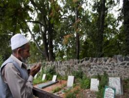 20765320-v2-xlarge-jpg-23511514740643124