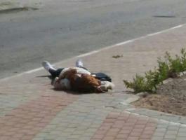 6f35fa32-a135-4e80-916d-432a50ffe19d