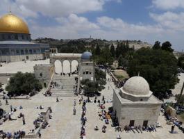 5593d282c46188b8388b458d