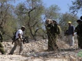 _يقطعون_شجر_الزيتون