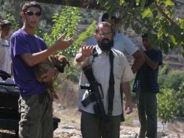 مستوطنون يقيمون بيوتاً خشبية على جبل جويحان شرق الخليل