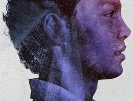 بالصور: مسلسلاتك في رمضان على Netflix .. رجل عصابات في مواجهة رينيه زيلويجر