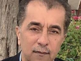 ماجد عبد الهادي